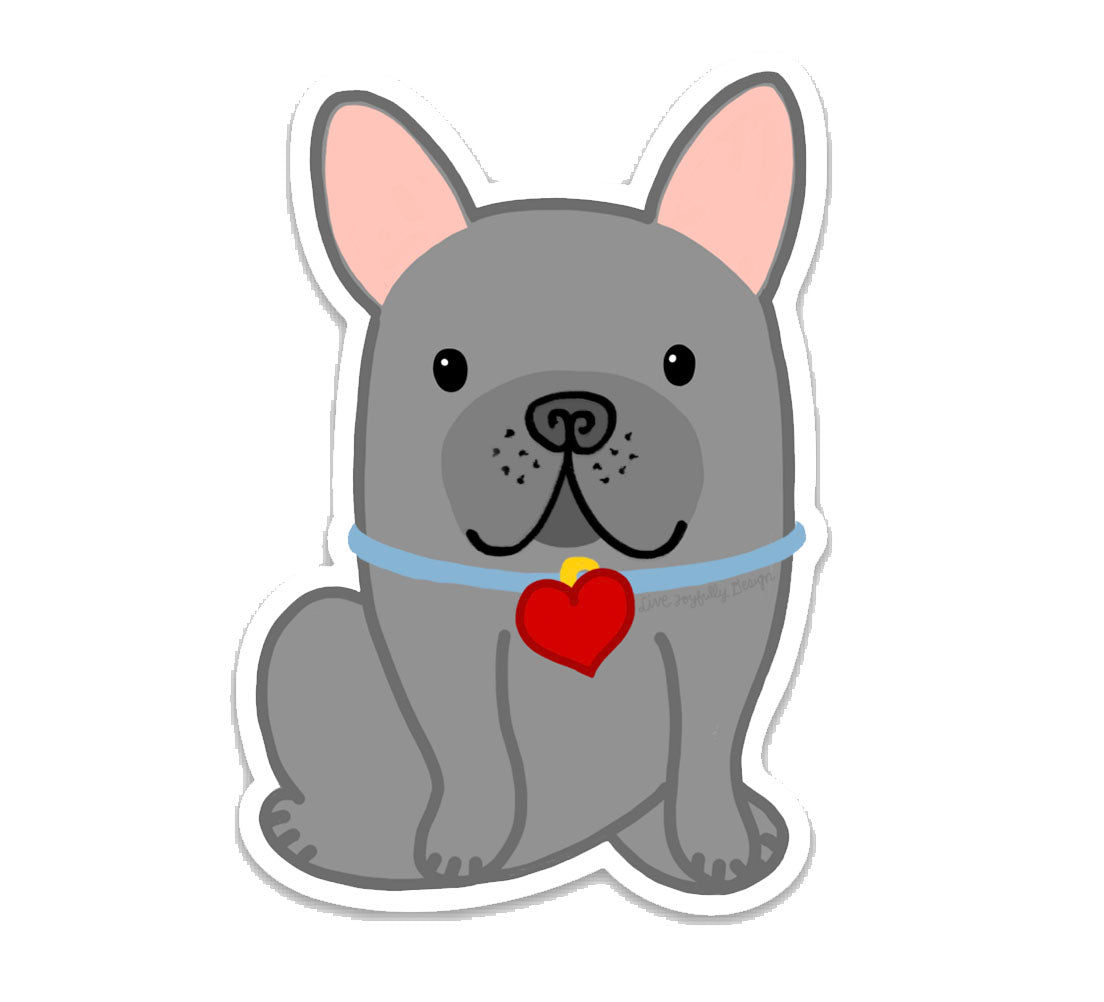 Cute French Bulldog