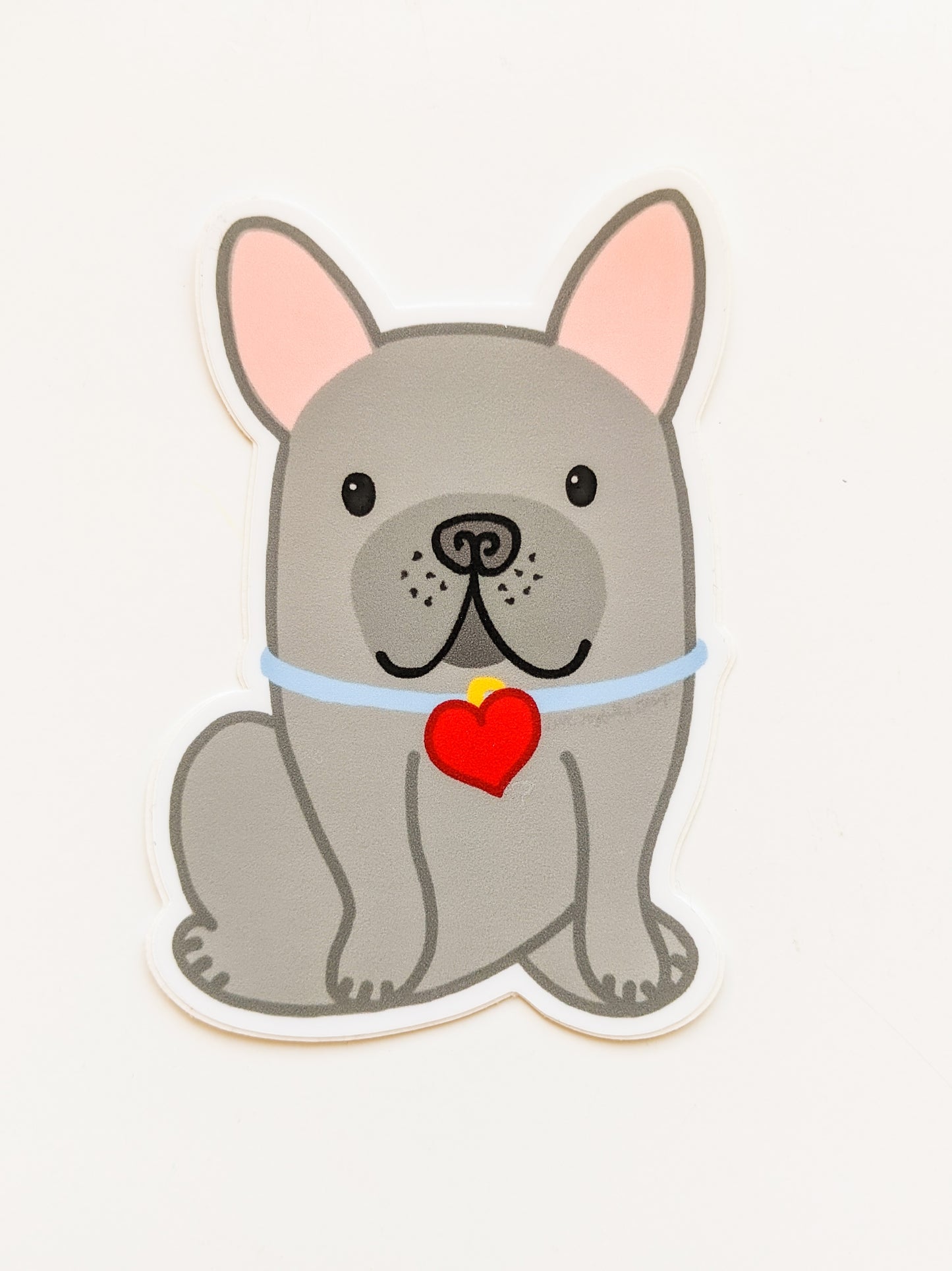 Cute French Bulldog