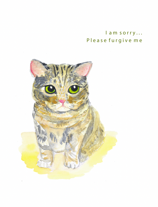 "I'm sorry, please fur-give me" Greeting Card